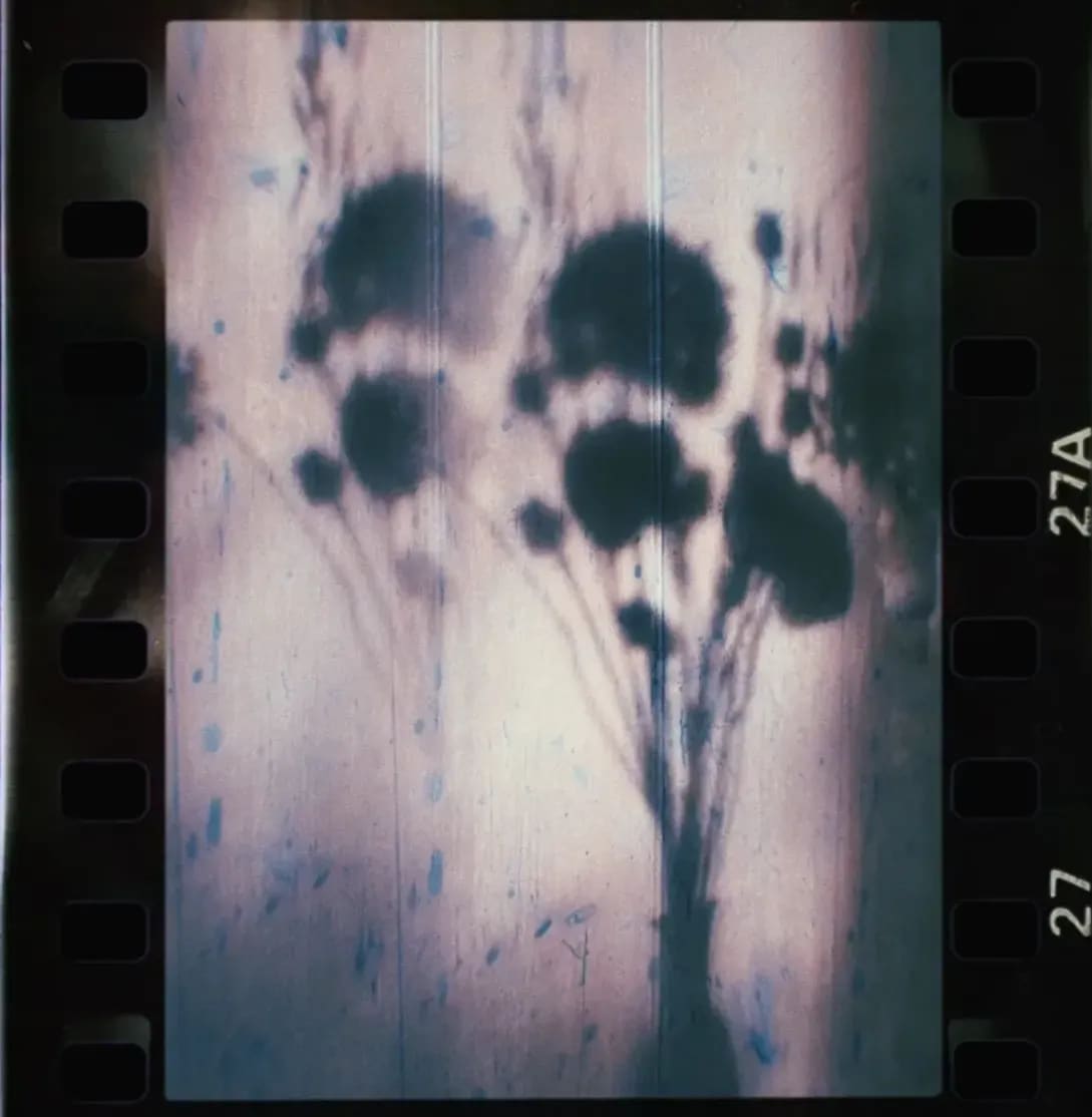 Northlight VFX 6